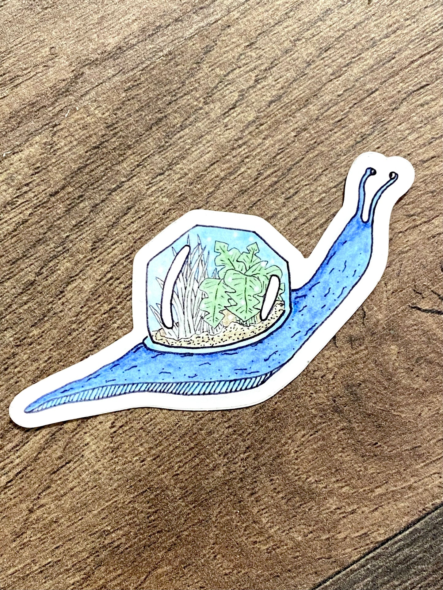 Snail Terrarium Sticker