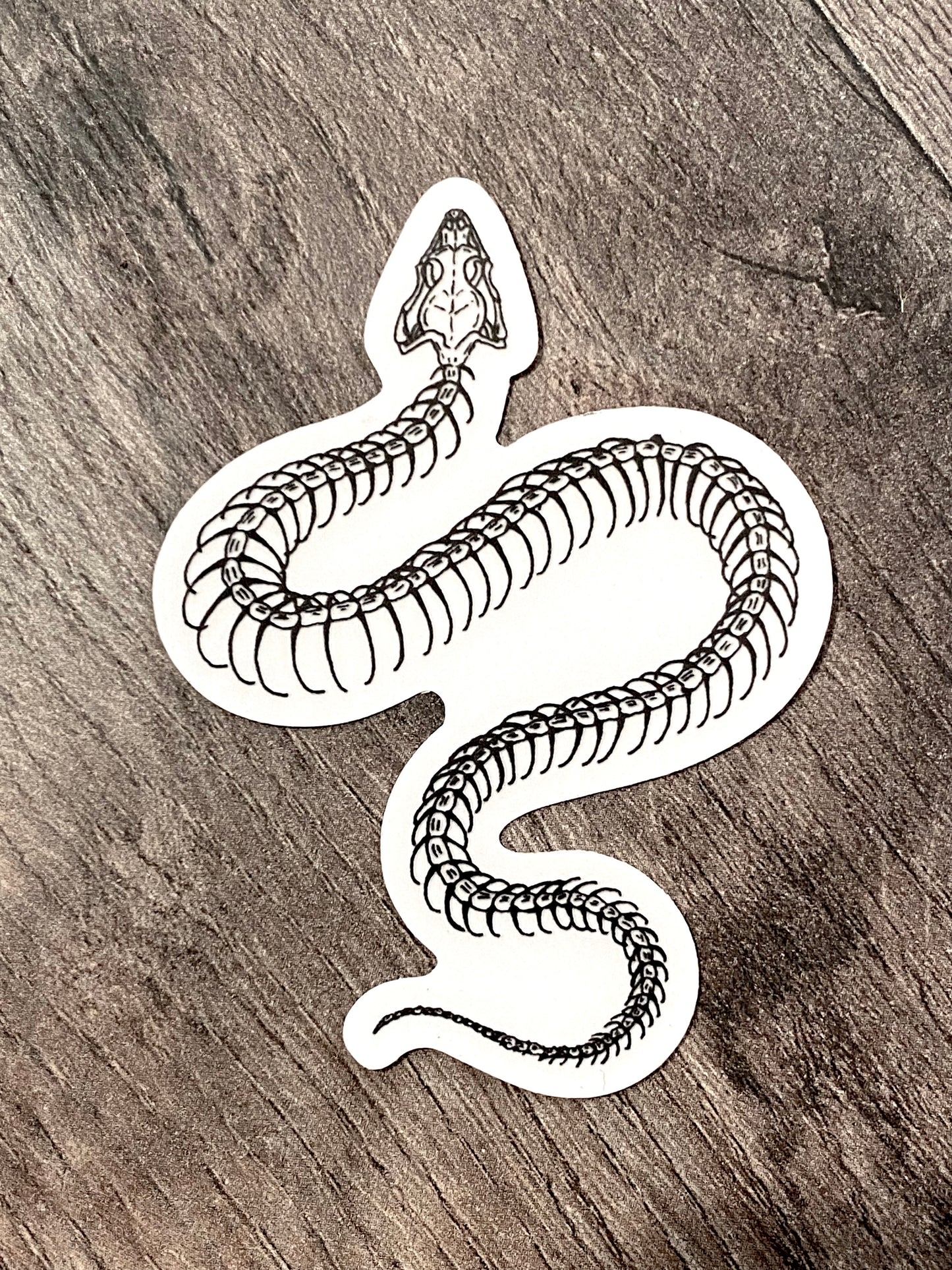 Snake Skeleton Clear Sticker